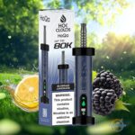 HOK Clouds HoQa 80000 Puffs Disposable Vape Blue Razz Lemon
