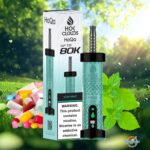 HOK Clouds HoQa 80000 Puffs Disposable Vape Gum Mint