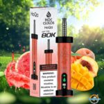 HOK Clouds HoQa 80000 Puffs Disposable Vape Mango Peach Watermelon