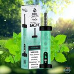 HOK Clouds HoQa 80000 Puffs Disposable Vape Miami Mint