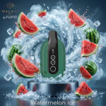 Malaki Flonq Ultra 20000 Puffs Disposable Vape Watermelon Ice
