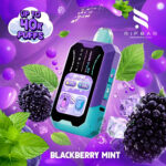 Rifbar Mixpro 40000 Puffs Disposable Vape Blackberry Mint