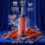 XTRA SULTAN 100K Puffs Shisha Disposable Strawberry