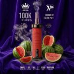 XTRA SULTAN 100K Puffs Shisha Disposable Watermelon