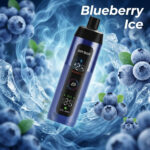 Airbar E Shisha 15000 Puffs Disposable Vape Blueberry Ice
