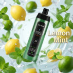 Airbar E Shisha 15000 Puffs Disposable Vape Lemon Mint