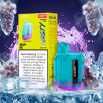 Nasty Bar 1200 Puffs Disposable Vape Grape Ice