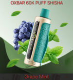 Oxbar Shisha 60000 Puffs Disposable Vape Grape Mint
