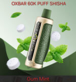 Oxbar Shisha 60000 Puffs Disposable Vape Gum Mint