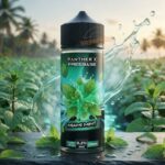 DR Vapes Panther X 120ml 3MG Miami Mint
