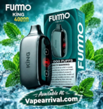 FUMMO King 40000 Puffs Disposable Vape Cold Mint