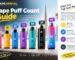 Vape Puff Count Guide