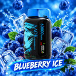 AAOK Y160 60000 Puffs Blueberry Ice