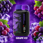 AAOK Y160 60000 Puffs Grape Ice