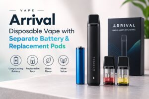 Disposable Vape with Separate Battery & Replacement Pods